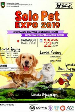 Solo Pet Expo 2019